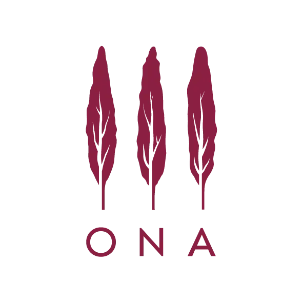 Ona Logo
